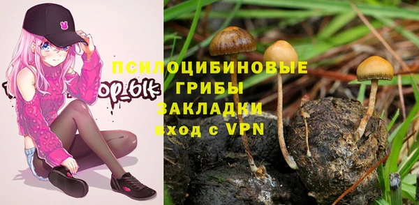 гашик Баксан