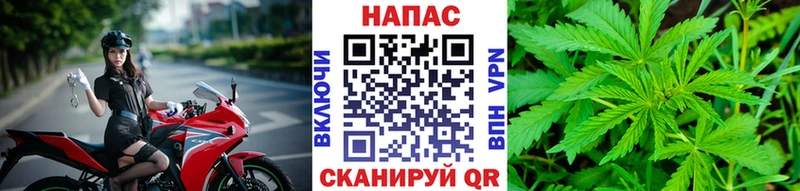 Канабис конопля  Шатура 